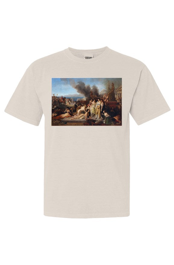 Comfort Colors Heavyweight T Shirt