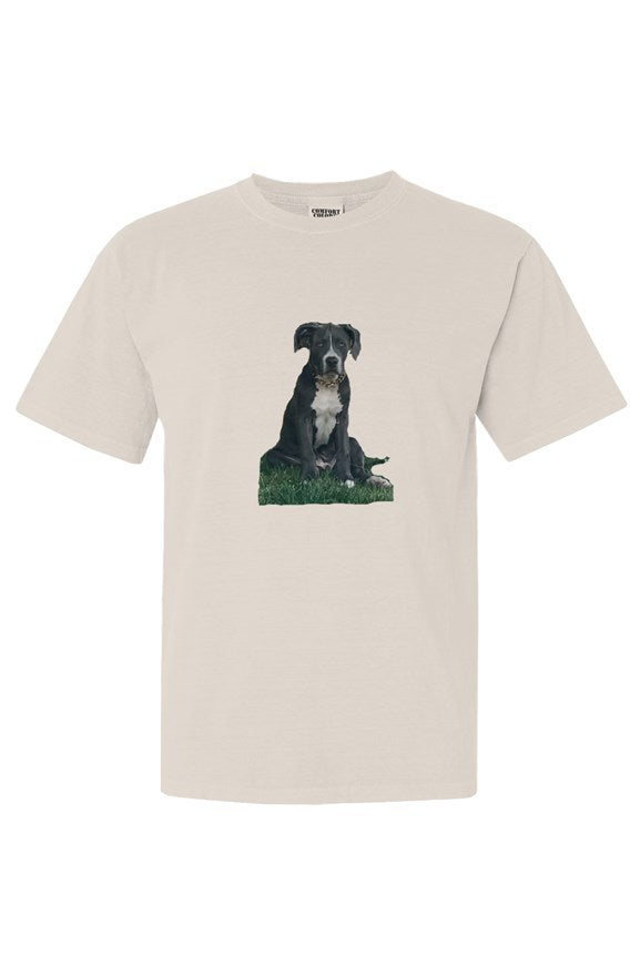 Comfort Colors Heavyweight T Shirt