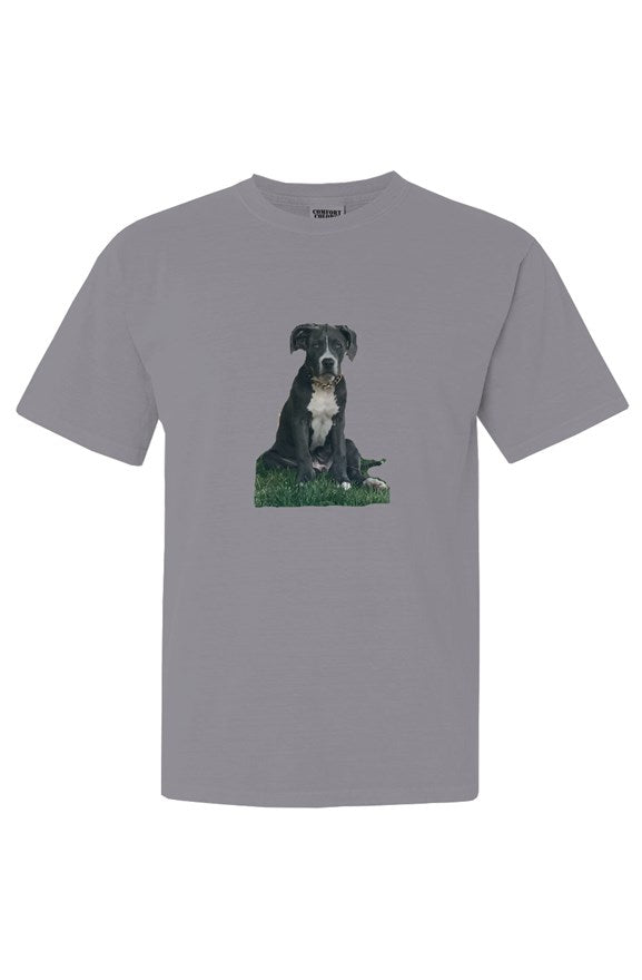 Comfort Colors Heavyweight T Shirt