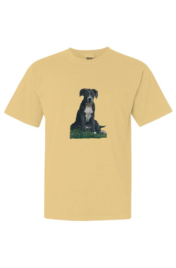 Comfort Colors Heavyweight T Shirt